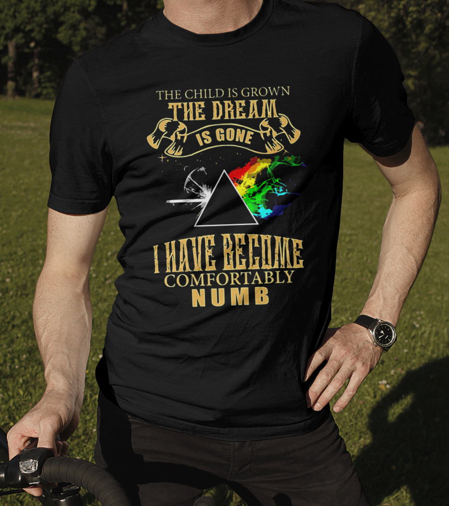 The Child Is Grown The Dream Is Gone Comfortably Numb Triangle Spectrum T-Shirt