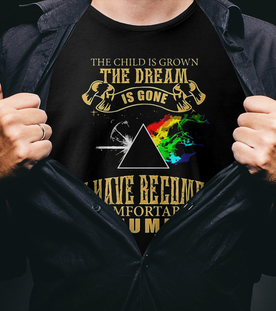 The Child Is Grown The Dream Is Gone Comfortably Numb Triangle Spectrum T-Shirt