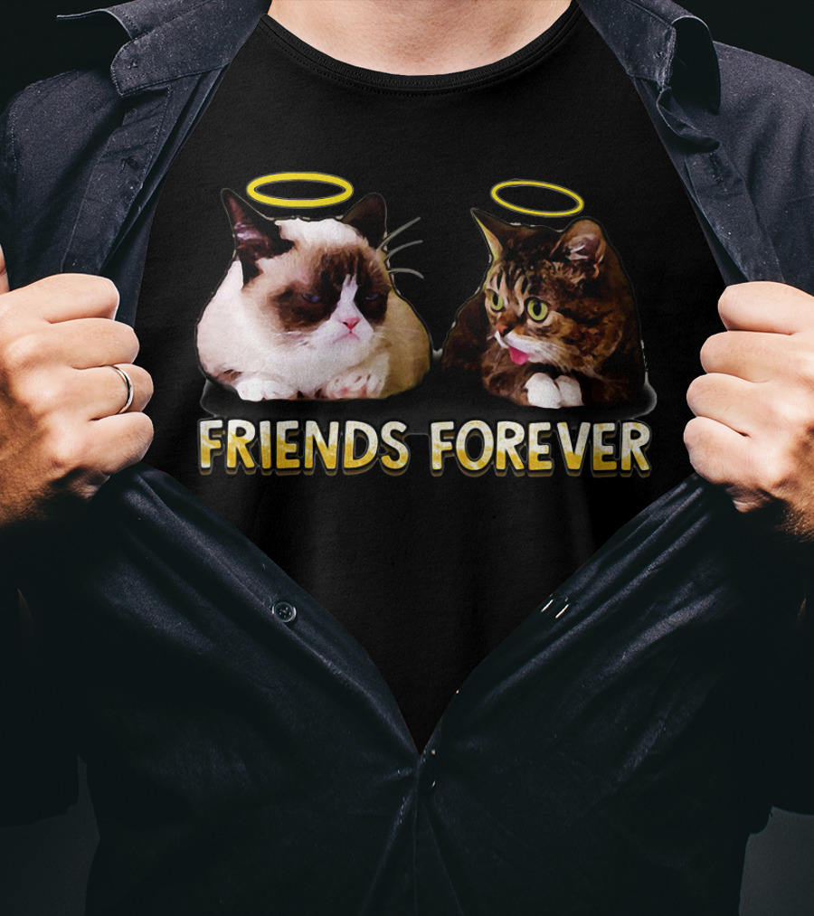 Grumpy Lil Bub Friends Forever T-Shirt