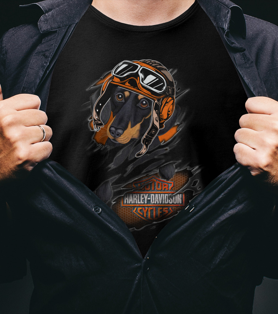 Dachshund Wearing Motorcycle Helmet With Harley Davidson Cycles T-Shirt