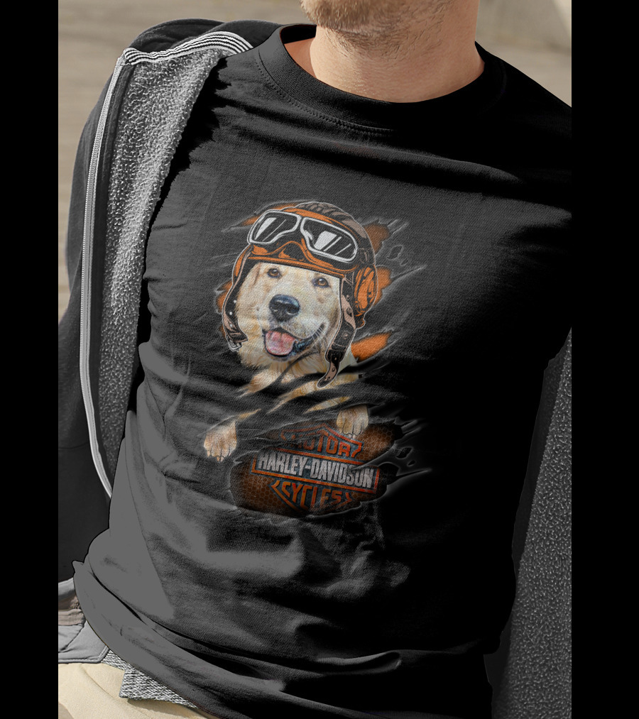 Golden Retriever Wearing Biker Helmet With Harley Davidson Motorcycles T-Shirt