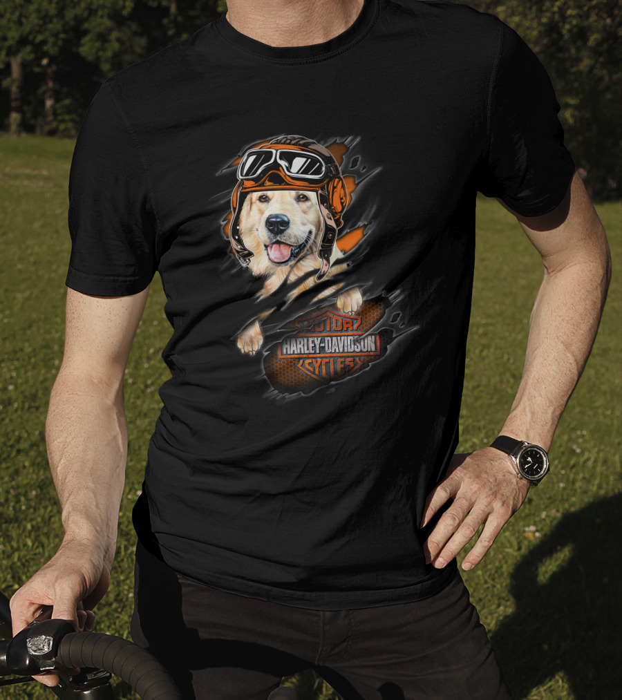 Golden Retriever Wearing Biker Helmet With Harley Davidson Motorcycles T-Shirt