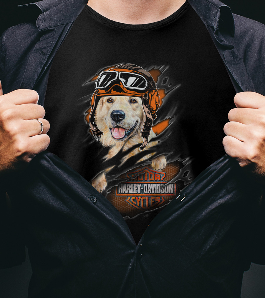 Golden Retriever Wearing Biker Helmet With Harley Davidson Motorcycles T-Shirt