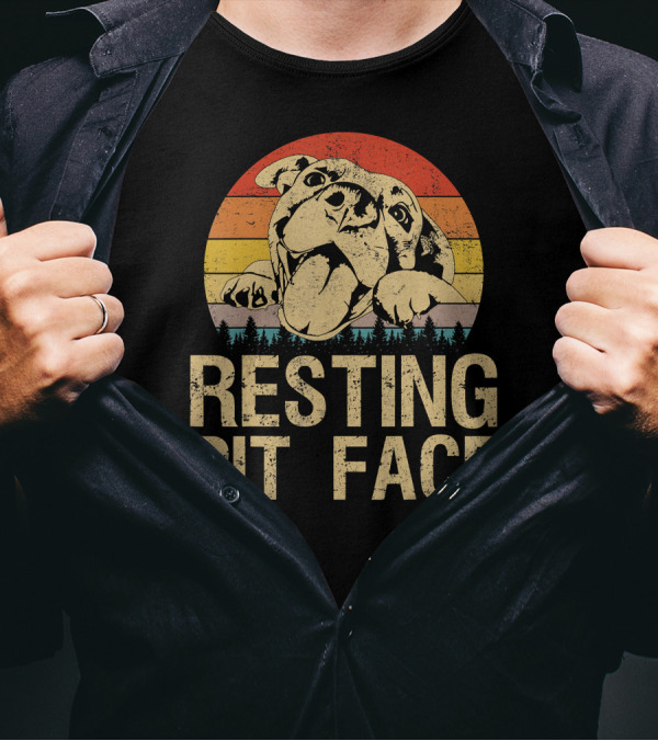 Resting Pit Face Pitbull Lovers Retro Sunset Style Vintage Dog T-Shirt