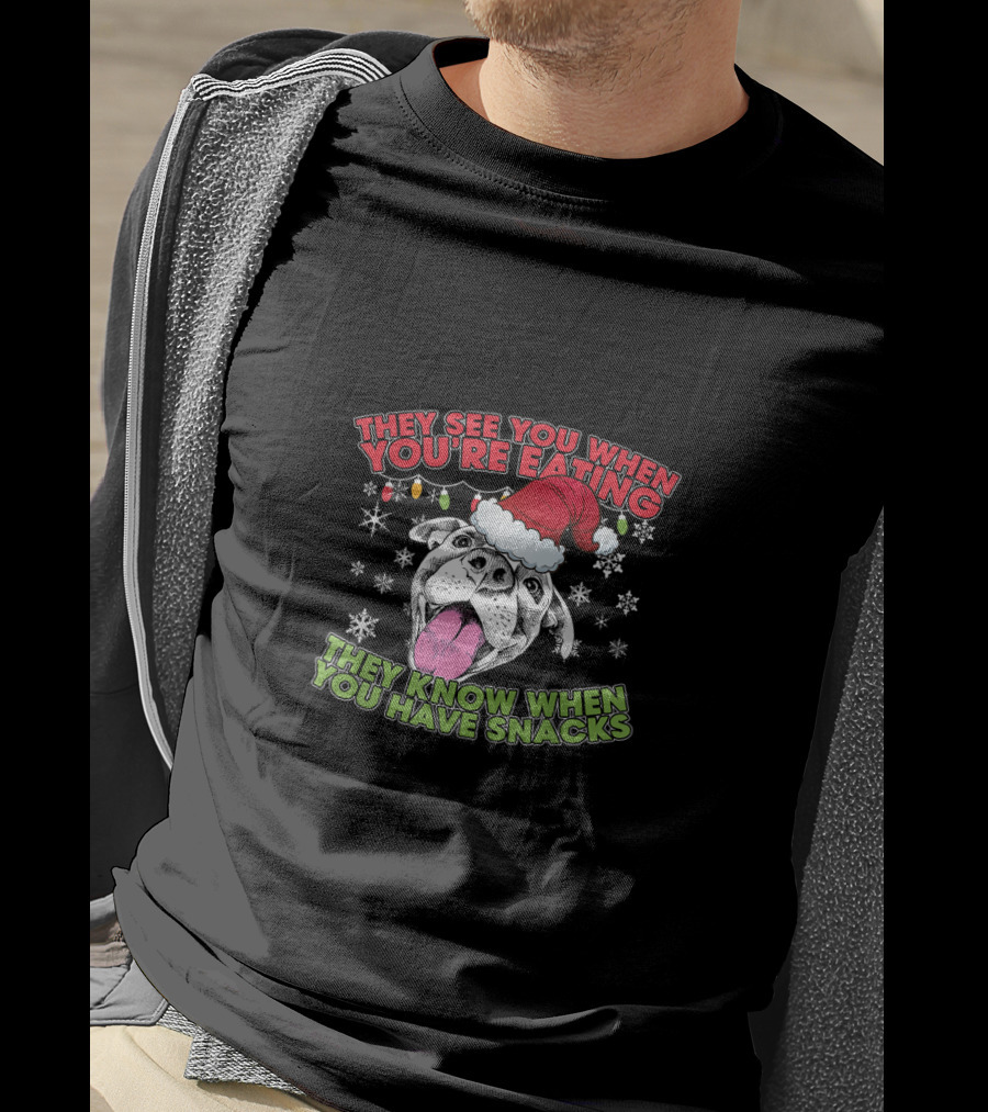 Christmas Pitbull Lover They See You When You're Eating Santa Hat Snowflakes T-Shirt