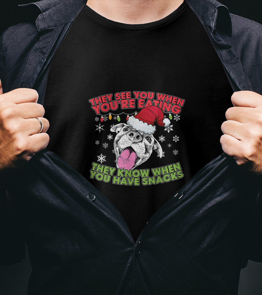 Christmas Pitbull Lover They See You When You're Eating Santa Hat Snowflakes T-Shirt
