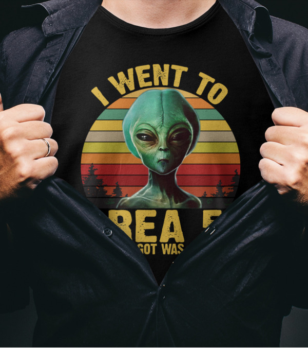 I Went To Area 51 And All I Got Was A T-Shirt With Funny Alien Retro Sunset T-Shirt
