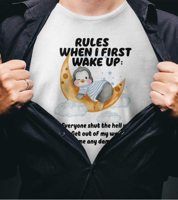 Rules When I First Wake Up Everyone Shut The Hell Up Get Out Of My Way Don't Ask Me Any Damn Questions T-Shirt