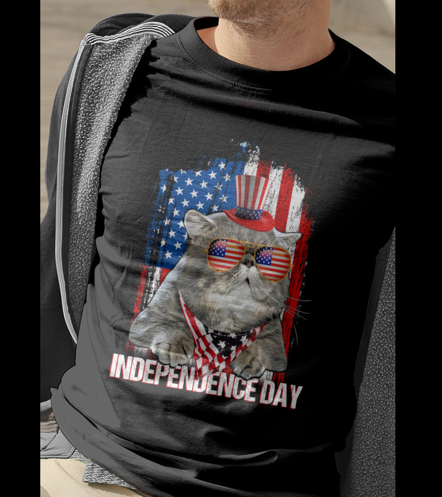 Independence Day Cat With American Flag Glasses And Top Hat T-Shirt