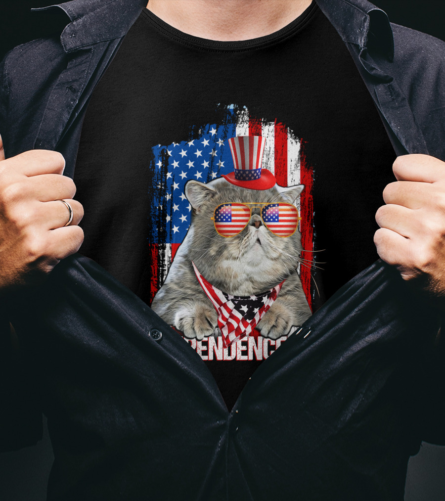Independence Day Cat With American Flag Glasses And Top Hat T-Shirt