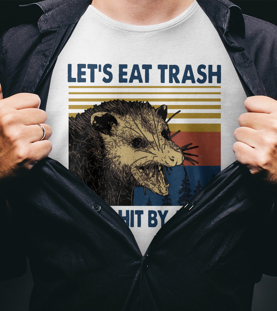 LET'S EAT TRASH And GET HIT BY A CAR Opossum Vintage Retro Stripe Forest T-Shirt