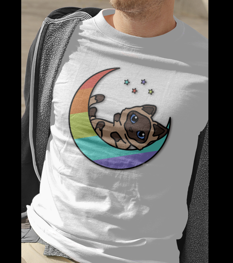 Antfrost Cat On Rainbow Crescent With Stars T-Shirt
