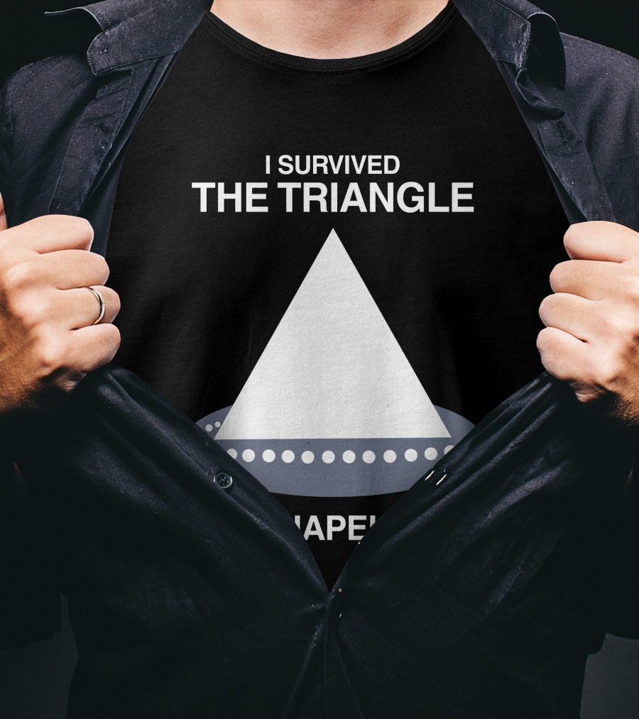I Survived The Triangle At Shapeland T-Shirt