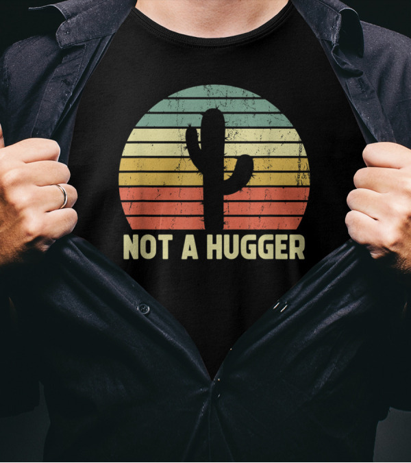 Not A Hugger Cactus Retro Sunset Sarcastic Introvert T-Shirt
