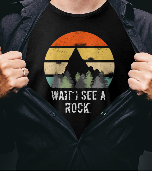 Retro Vintage Wait I See A Rock Geologist Sunset Forest Scene T-Shirt