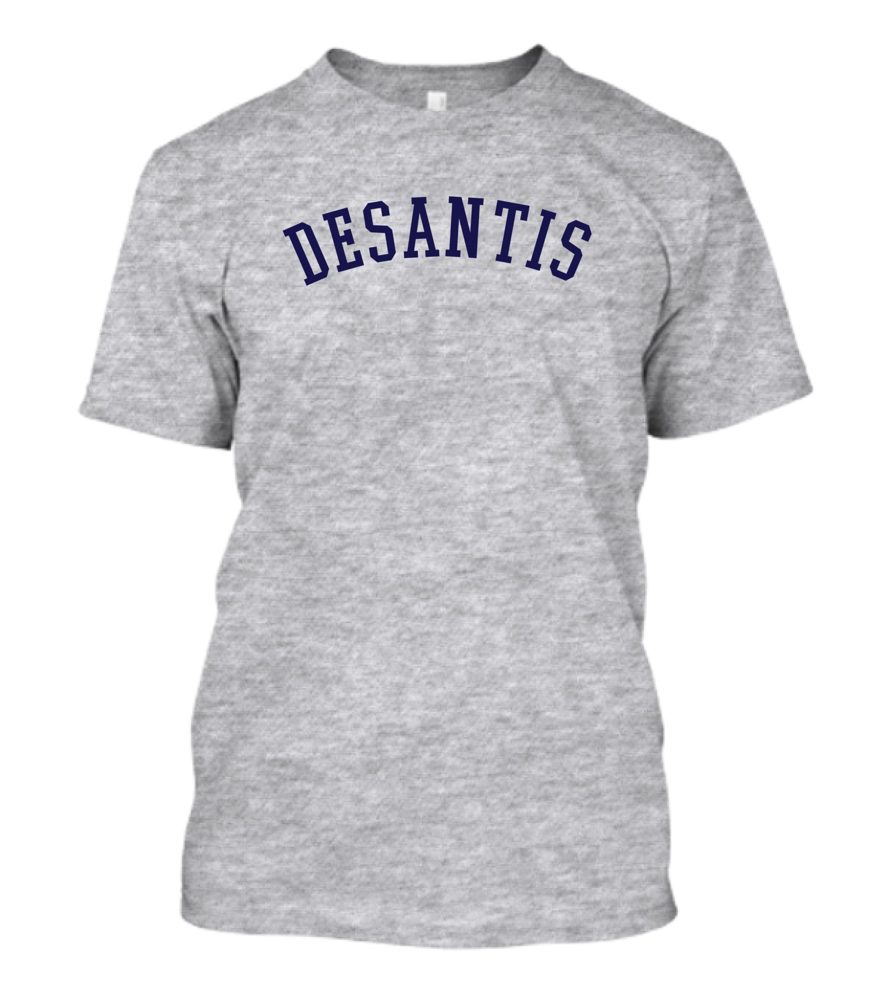 DeSantis Gray Cotton Block Text T-Shirt