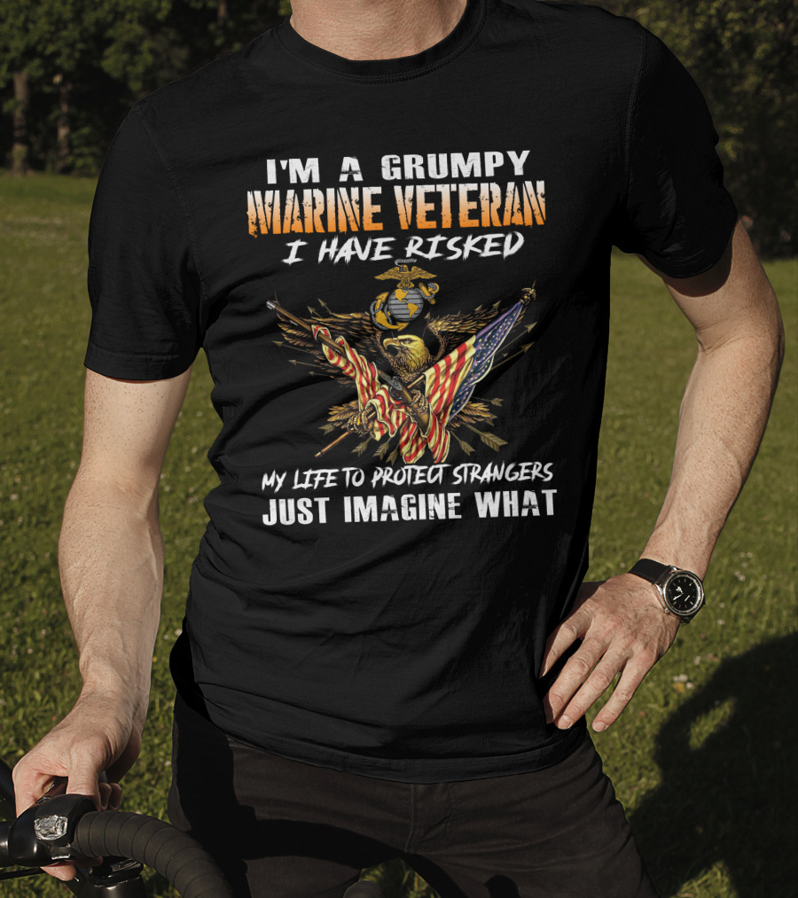 I'm A Grumpy Marine Veteran I Have Risked My Life To Protect Strangers Just Imagine What T-Shirt
