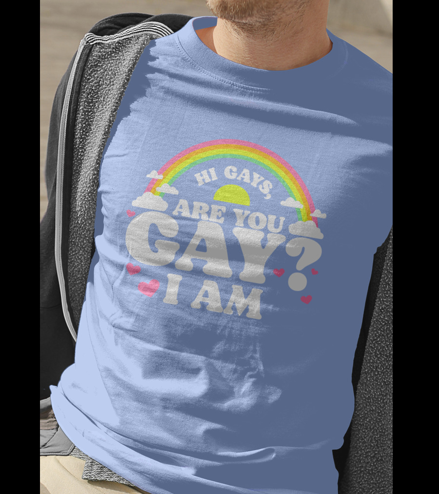 Chrissy Chlapecka Merch Hi Gays Are You Gay I Am With Rainbow And Hearts T-Shirt