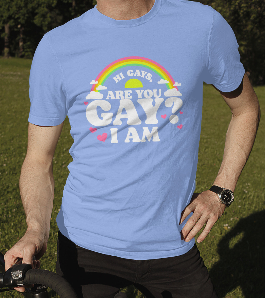 Chrissy Chlapecka Merch Hi Gays Are You Gay I Am With Rainbow And Hearts T-Shirt