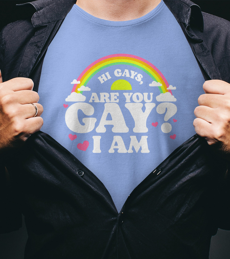 Chrissy Chlapecka Merch Hi Gays Are You Gay I Am With Rainbow And Hearts T-Shirt