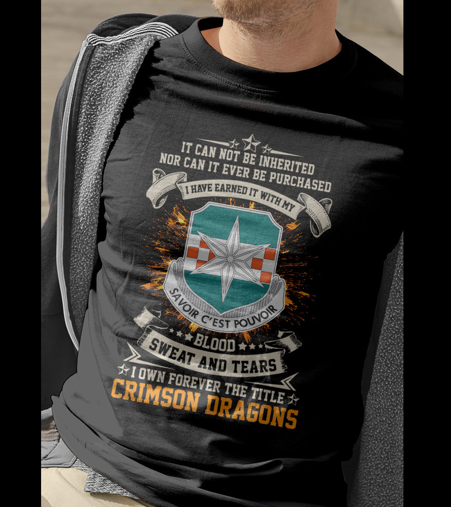 313th Military Intelligence Battalion Crimson Dragons Savoir C'est Pouvoir Blood Sweat And Tears T-Shirt
