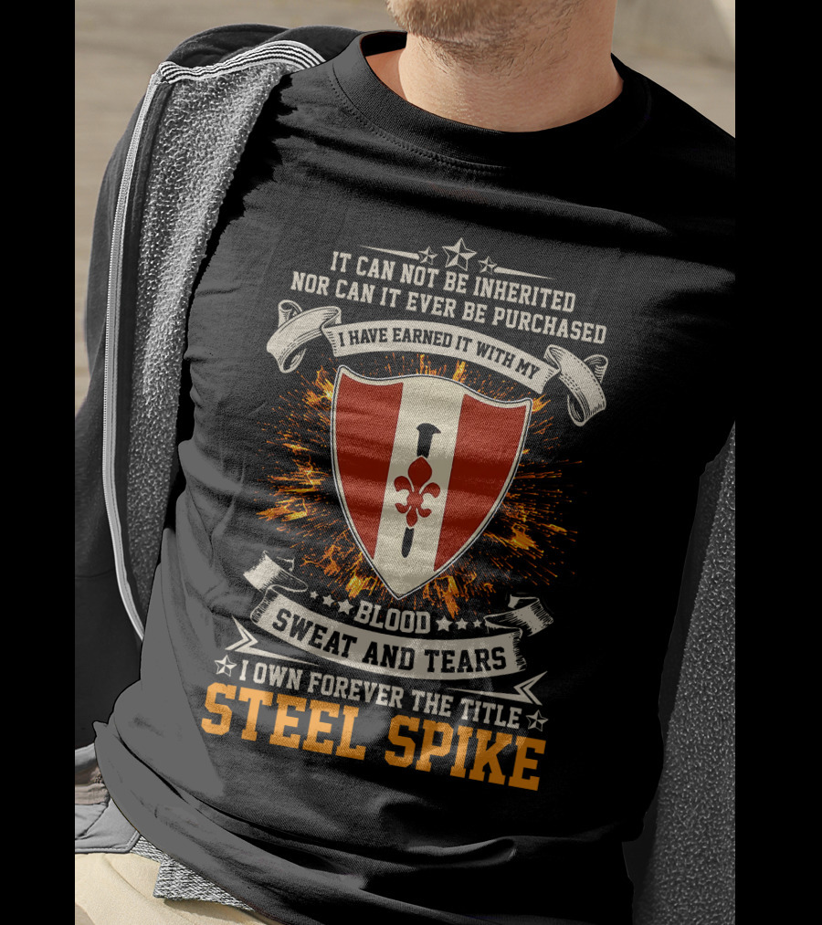 It Can Not Be Inherited Blood Sweat And Tears Steel Spike Crest 46th Engineers Battalion T-Shirt