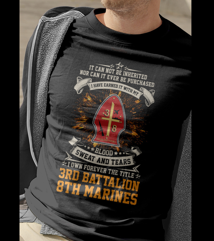 I Own Forever The Title 3Rd Battalion 8Th Marines Blood Sweat And Tears T-Shirt
