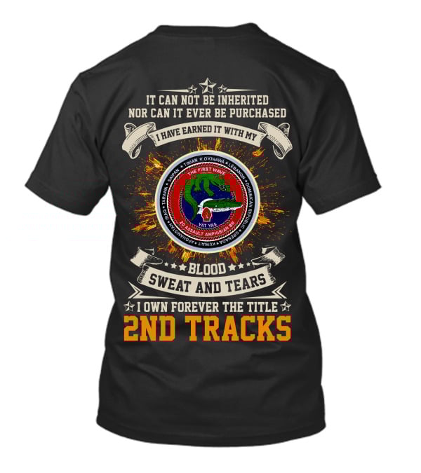 2Nd Assault Amphibian Battalion Blood Sweat And Tears I Own Forever The Title 2Nd Tracks T-Shirt