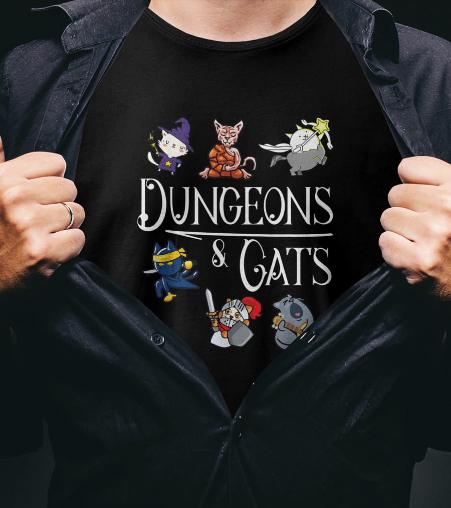 Dungeons And Cats Funny Cat Lover Cartoon Character Wizard And Warrior Adventure T-Shirt