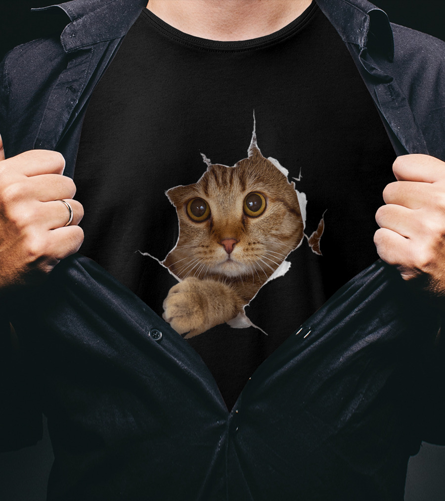 Sweet Kitten Torn Cloth Funny Cat Lover Cat Owner Cat Lady Peeking Cat Through Rip T-Shirt
