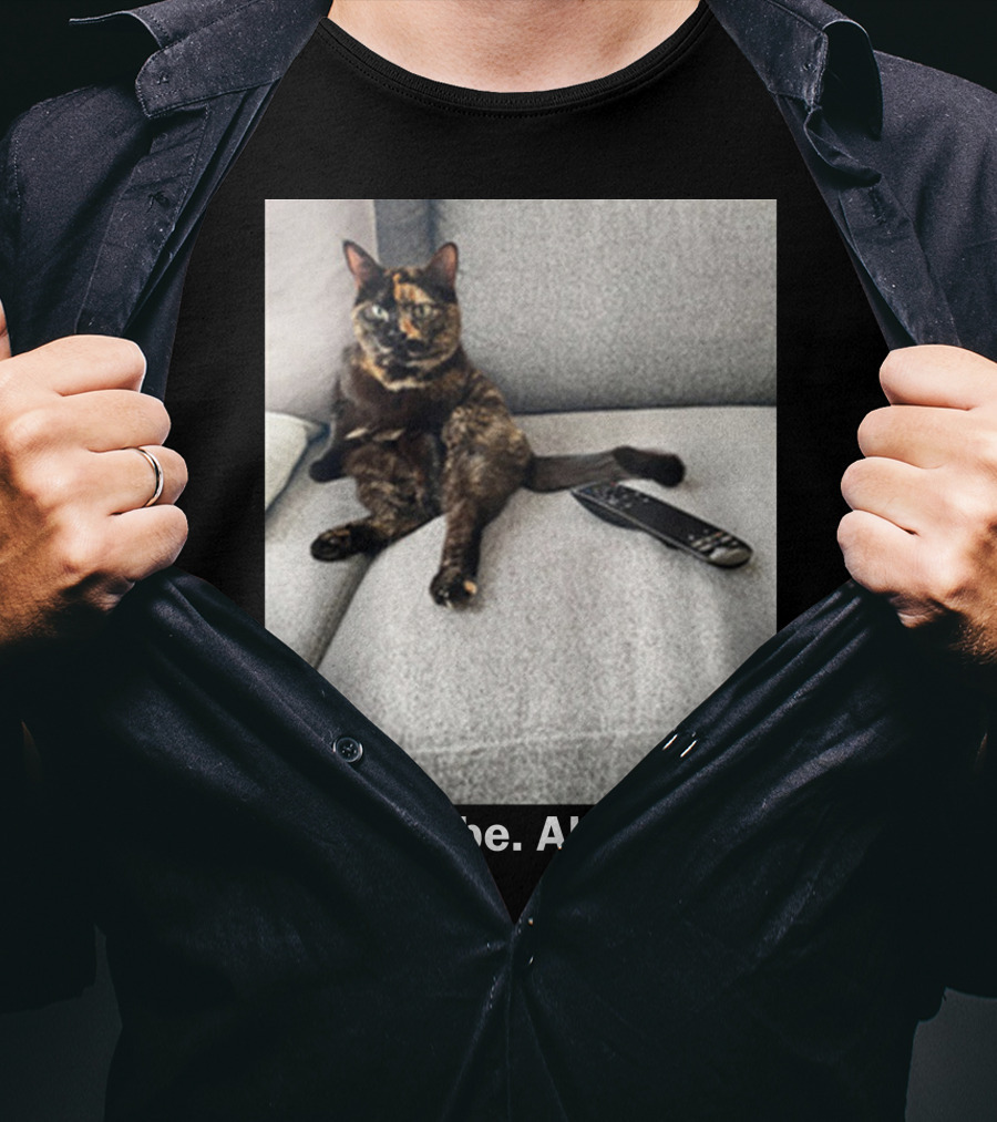 Alles Liebe Alles Gute Bay Berlin Merch Cat On Couch T-Shirt