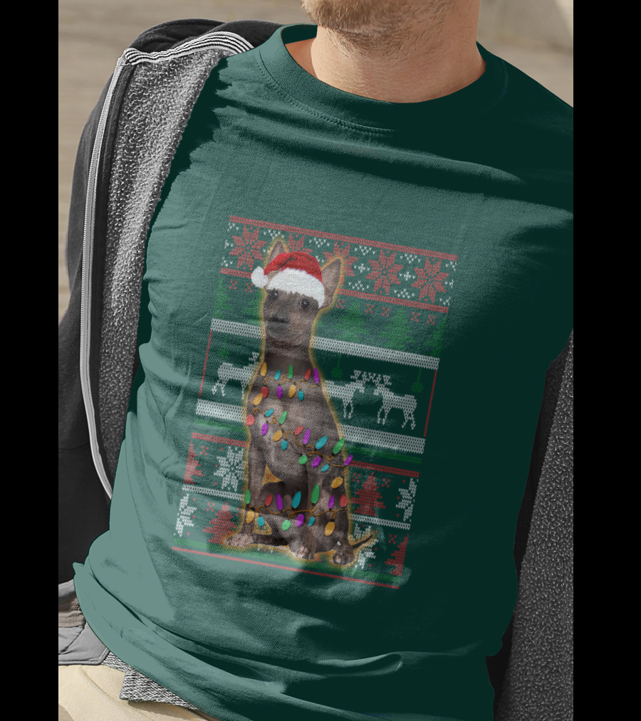 American Hairless Terrier Christmas Lights Santa Hat T-Shirt