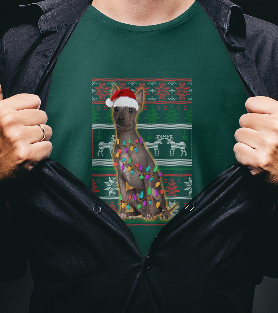 American Hairless Terrier Christmas Lights Santa Hat T-Shirt