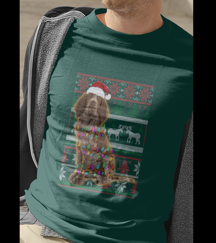 Bracco Italiano Christmas Lights Santa Hat Festive T-Shirt