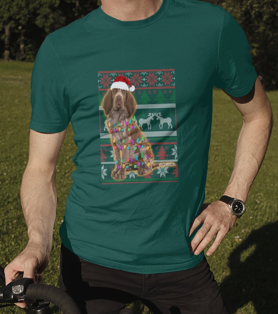 Bracco Italiano Christmas Lights Santa Hat Festive T-Shirt