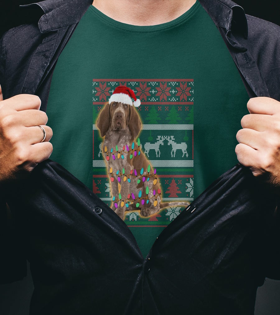 Bracco Italiano Christmas Lights Santa Hat Festive T-Shirt