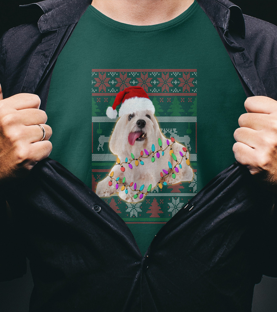 Coton De Tulear Holiday Lights Christmas Sweater Santa Hat T-Shirt