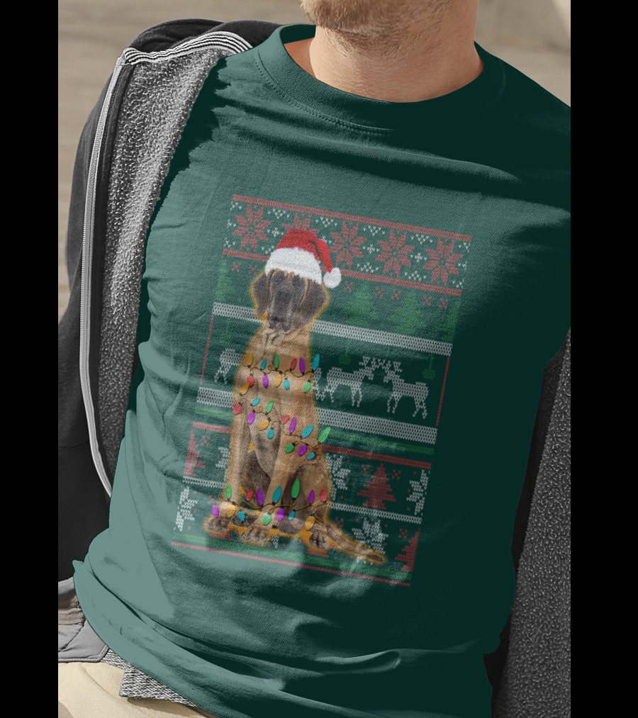 Great Dane Christmas Santa Hat Lights Reindeer Holiday T-Shirt