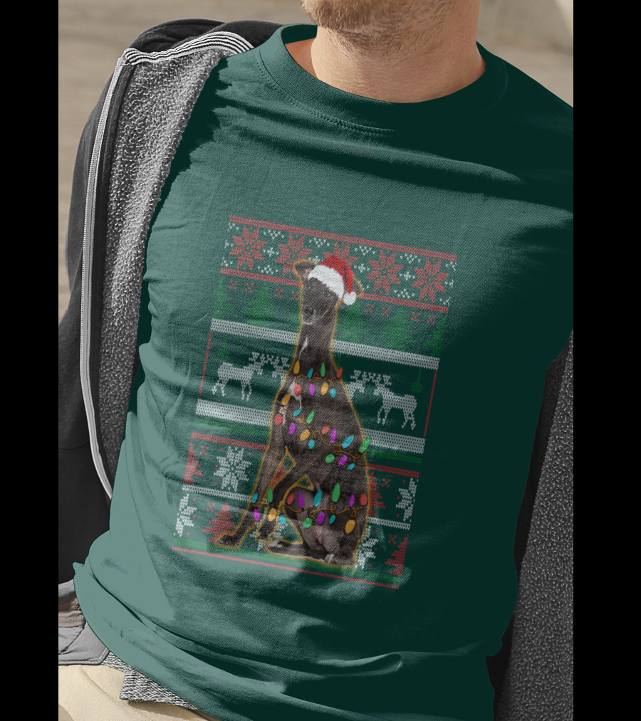 Greyhound Christmas Santa Hat And Lights Ugly T-Shirt
