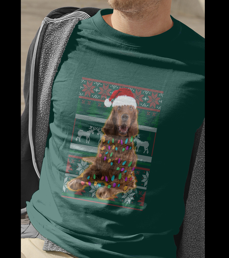 Christmas Irish Setter Reindeer Santa Hat Lights T-Shirt
