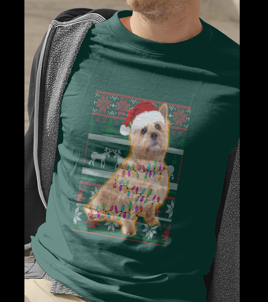 Norfolk Terrier Christmas Lights Sweater Santa Hat T-Shirt