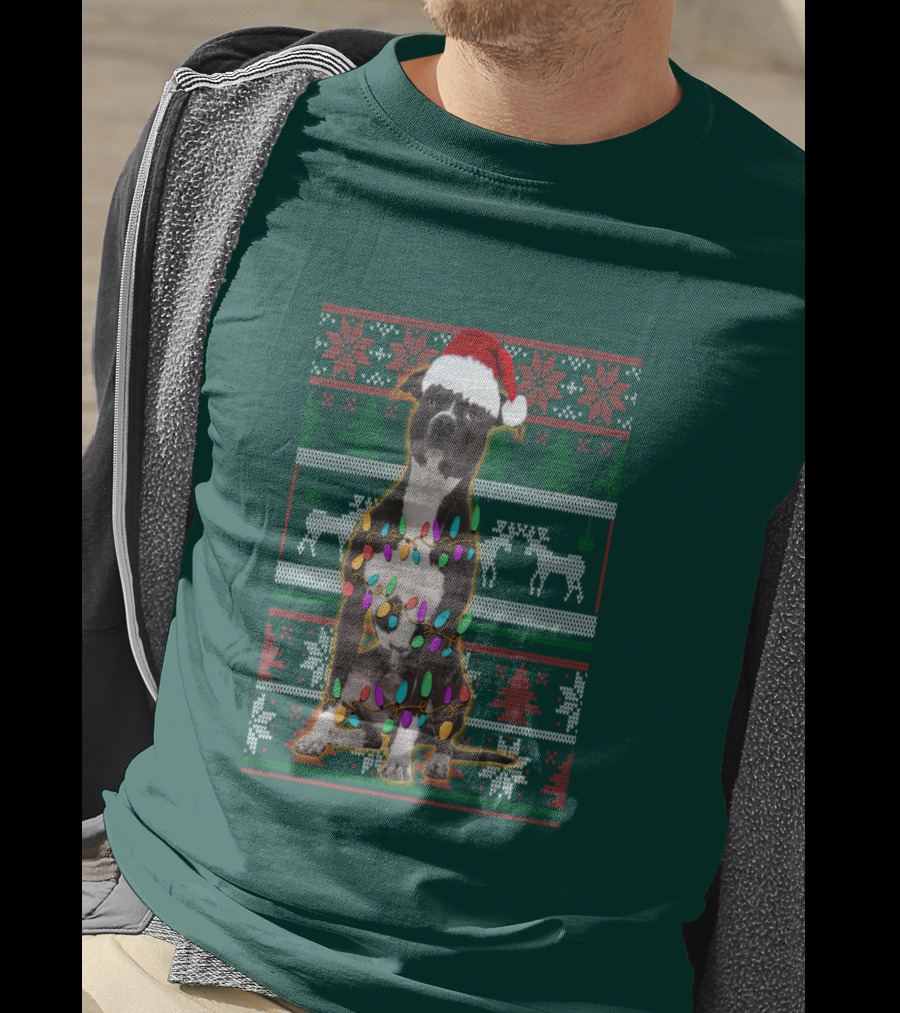 Pitbull Christmas Sweater With Santa Hat And Holiday Lights T-Shirt