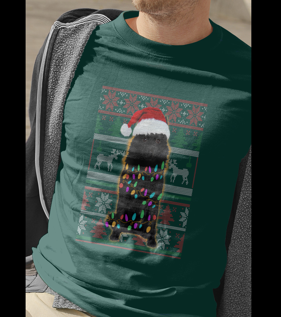 Schipperke Santa Hat Festive Christmas Lights Ugly T-Shirt
