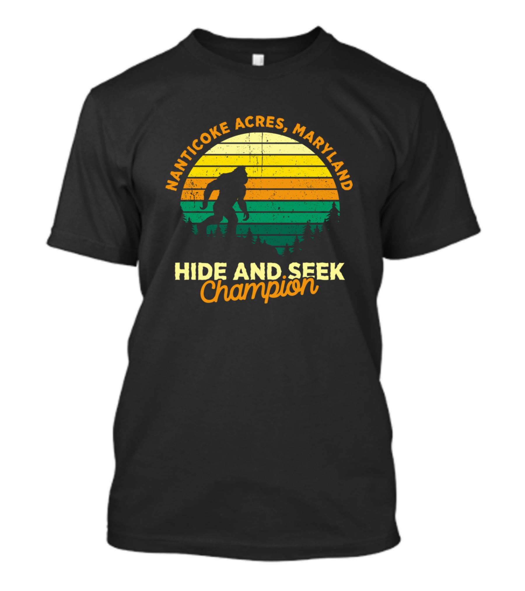 Nanticoke Acres Maryland Bigfoot Hide And Seek Champion Retro Sunset T-Shirt