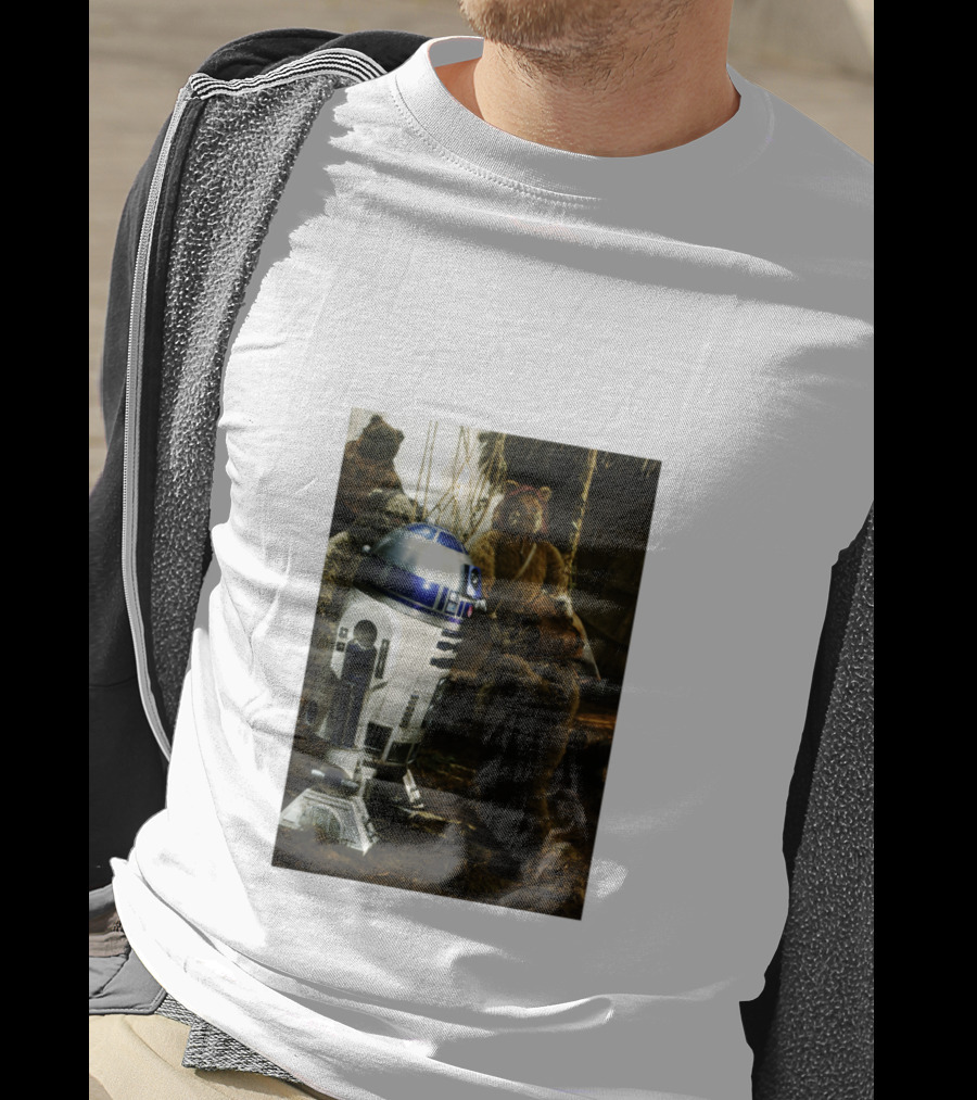 Star Wars R2 D2 Where Do They Hide The Cookies Ewoks T-Shirt