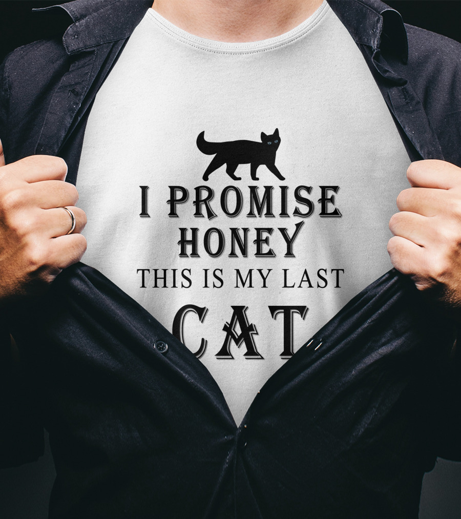 I Promise Honey This Is My Last Cat Black Cat T-Shirt