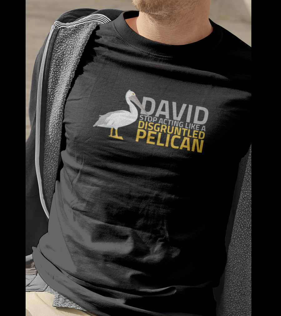 David Stop Acting Like A Disgruntled Pelican T-Shirt
