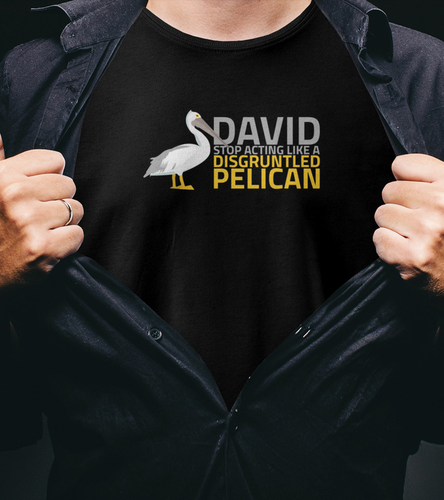 David Stop Acting Like A Disgruntled Pelican T-Shirt