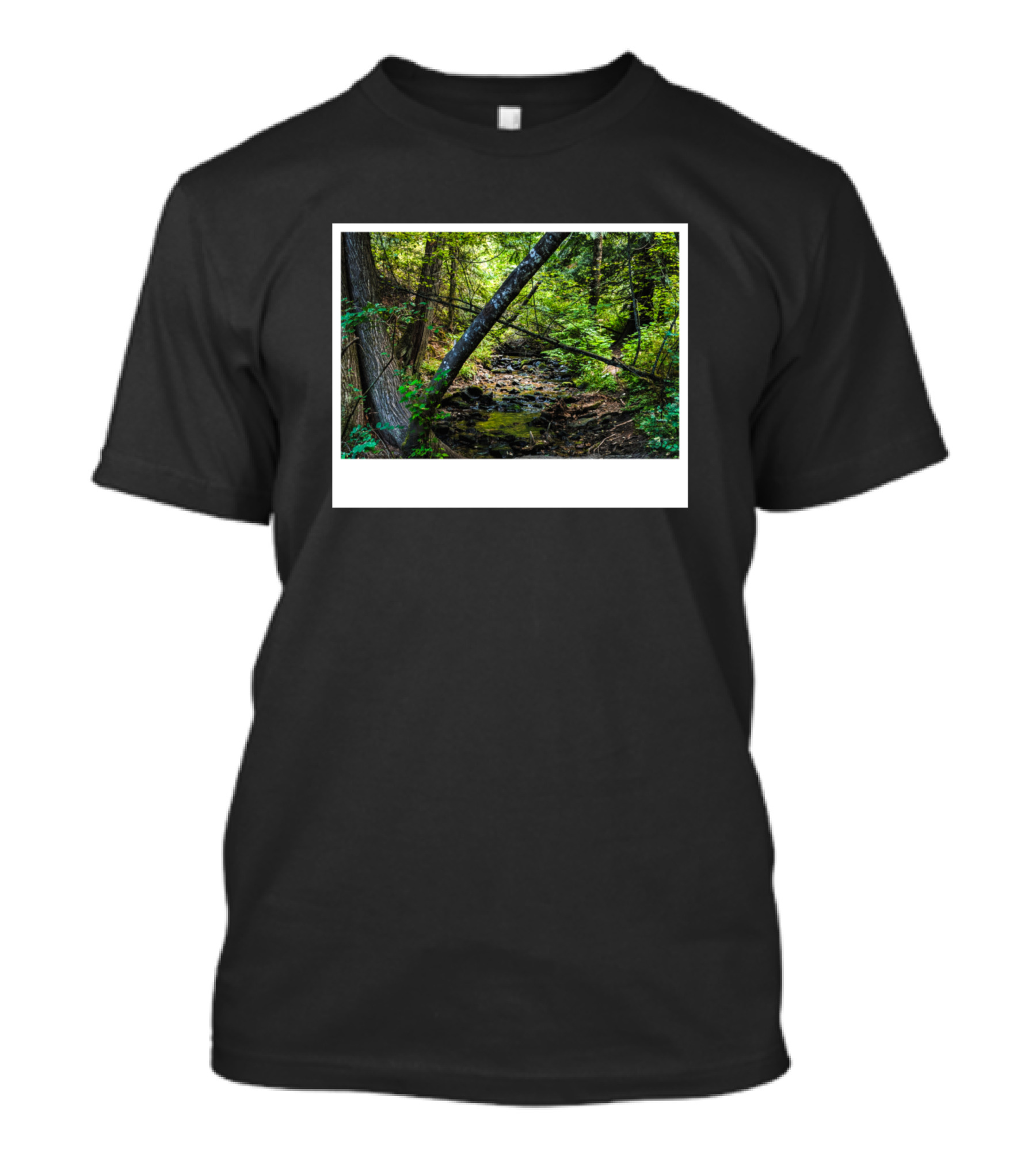 Little Creek Falls Forest Stream Scene T-Shirt