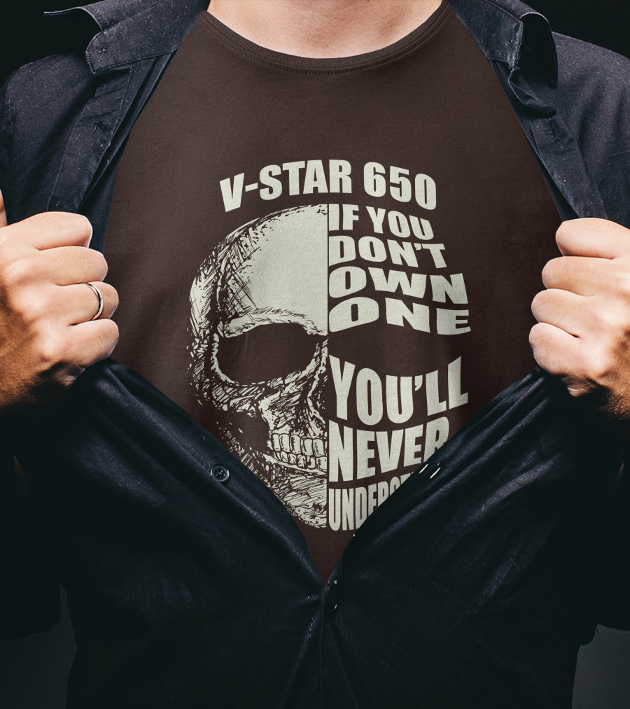 V-Star 650 If You Don't Own One You'll Never Understand Skull T-Shirt